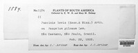 Puccinia levis image